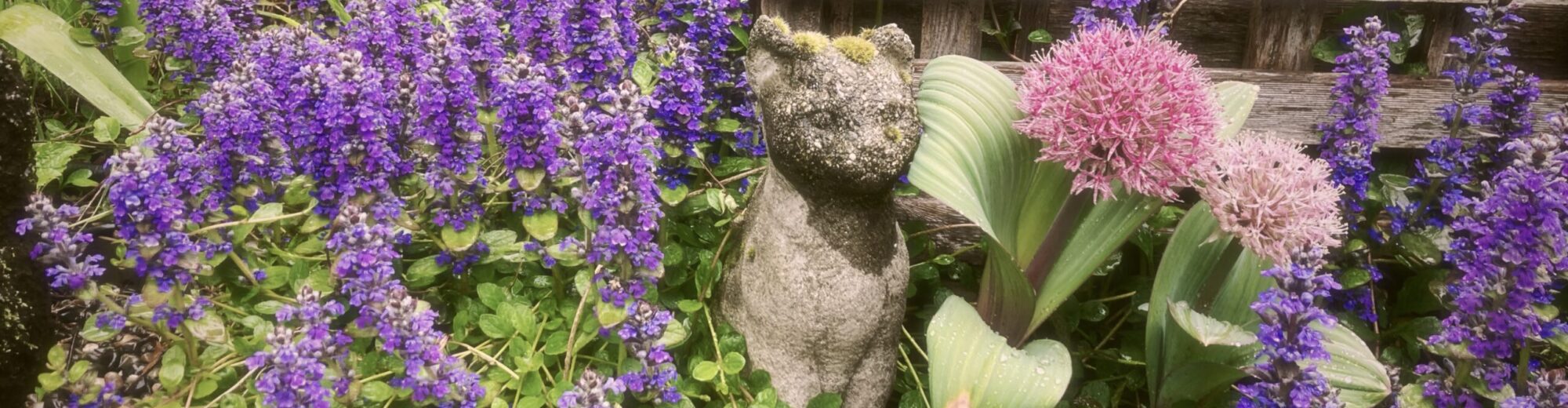 LYNN VALLEY GARDEN CLUB